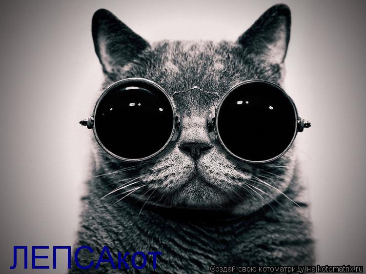 ЛЕПСАкот... Котоматрица: ЛЕПСАкот