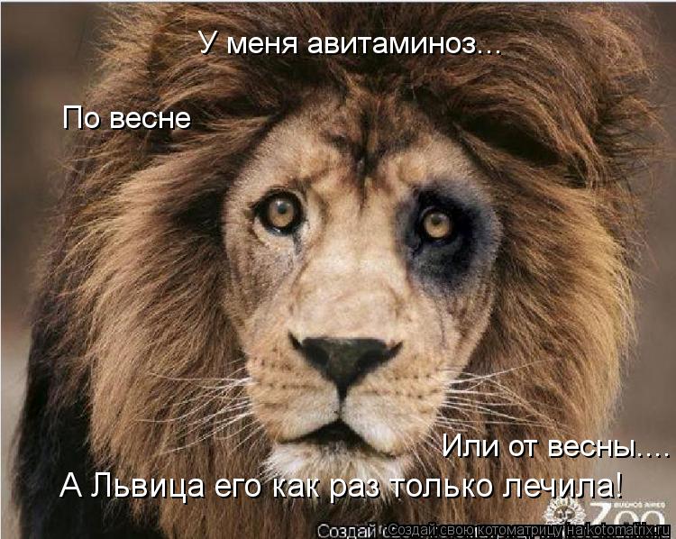 У меня авитаминоз... По весне Или от весны.... А Львица его как раз только лечила!... Котоматрица: У меня авитаминоз... По весне Или от весны.... А Львица его как раз только лечила!