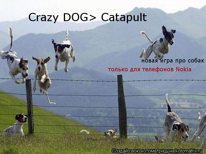 Crazy DOG> Catapult новая игра про собак только для телефонов Nokia... Котоматрица: Crazy DOG> Catapult новая игра про собак только для телефонов Nokia