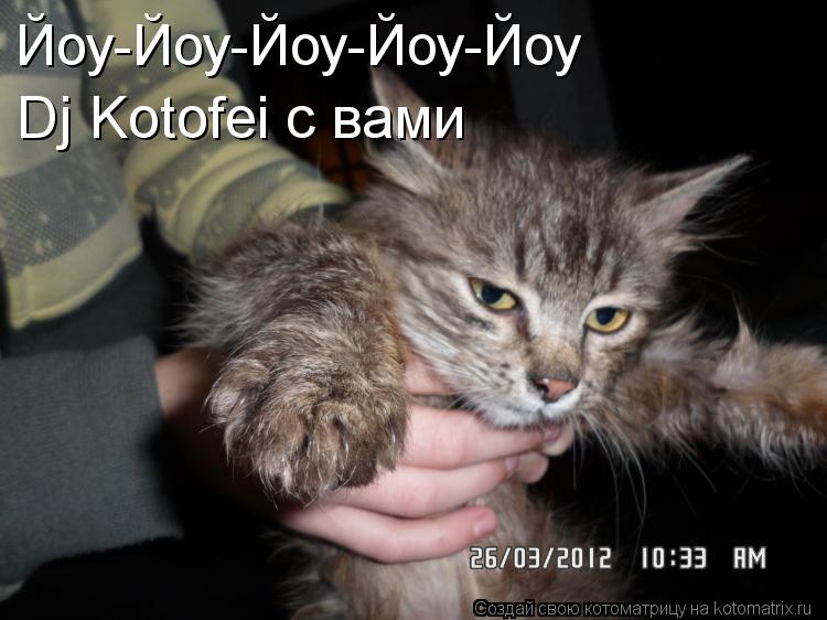 Йоу-Йоу-Йоу-Йоу-Йоу Dj Kotofei с вами... Котоматрица: Йоу-Йоу-Йоу-Йоу-Йоу Dj Kotofei с вами