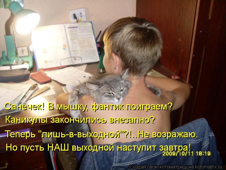 Котоматрица: Санёчек! В мышку, фантик поиграем? Каникулы закончились внезапно? Теперь "лишь-в-выходной"?!..Не возражаю. Но пусть НАШ выходной наступит завт