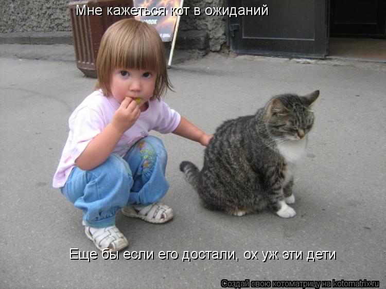 Мне кажеться кот в ожиданий Еще бы если его достали, ох уж эти дети... Котоматрица: Мне кажеться кот в ожиданий Еще бы если его достали, ох уж эти дети