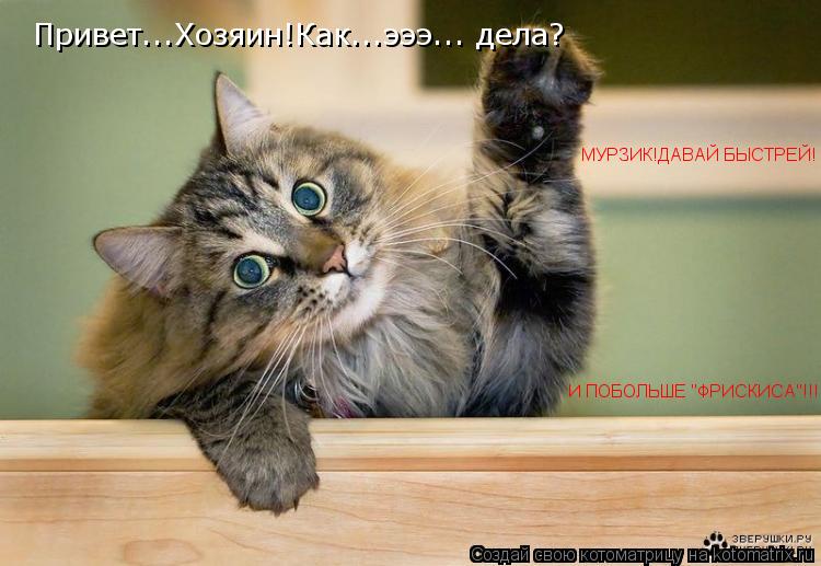 МУРЗИК!ДАВАЙ БЫСТРЕЙ! И ПОБОЛЬШЕ "ФРИСКИСА"!!! Привет...Хозяин!Как...эээ... дела?... Котоматрица: МУРЗИК!ДАВАЙ БЫСТРЕЙ! И ПОБОЛЬШЕ "ФРИСКИСА"!!! Привет...Хозяин!Как...эээ... дела?