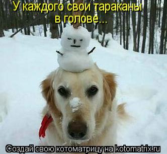 Котоматрица: У каждого свои тараканы в голове...