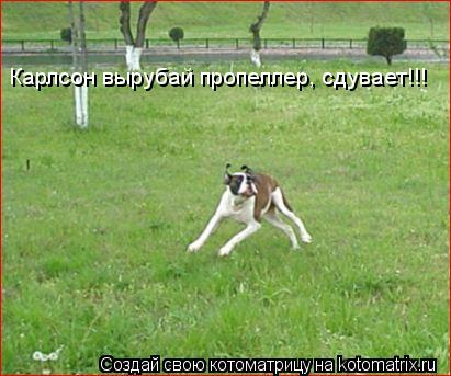 Котоматрица: Карлсон вырубай пропеллер, сдувает!!!
