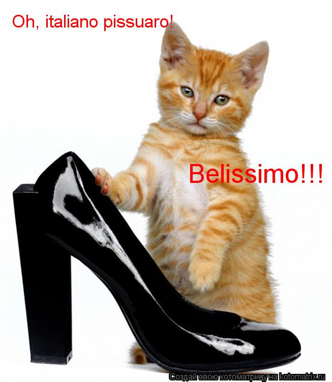 Котоматрица: Oh, italiano pissuaro! Belissimo!!!
