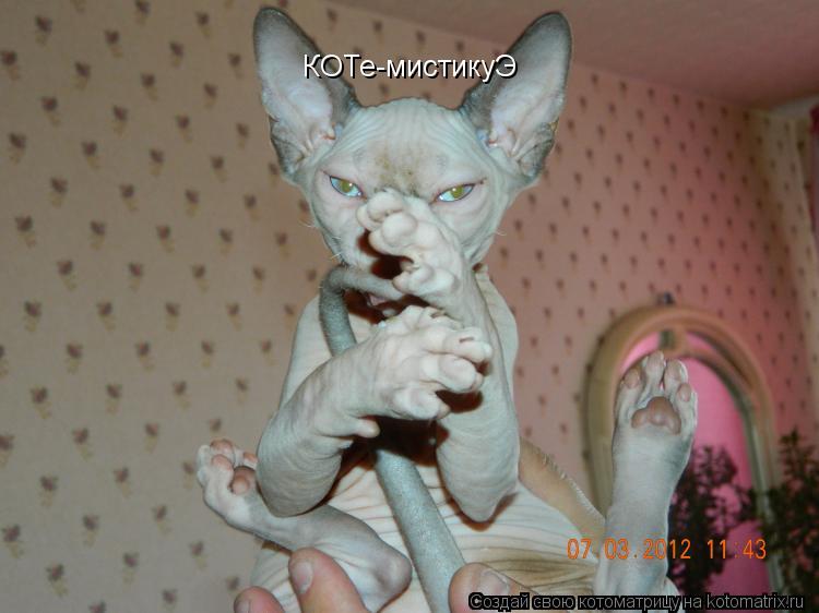 Котоматрица: КОТе-мистикуЭ