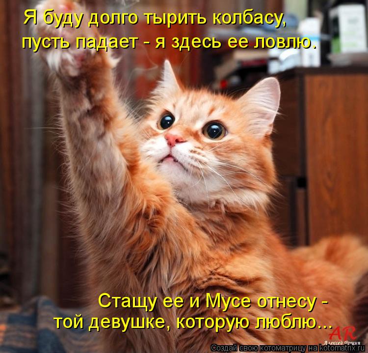 Котоматрица: Я буду долго тырить колбасу,  Стащу ее и Мусе отнесу -  той девушке, которую люблю... пусть падает - я здесь ее ловлю.