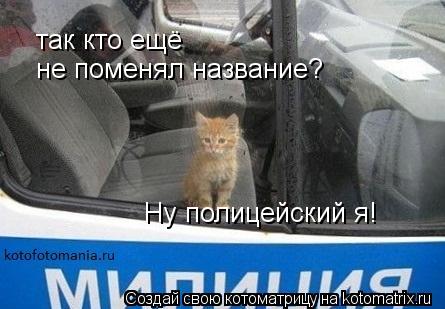 Котоматрица: так кто ещё не поменял название?  Ну полицейский я!