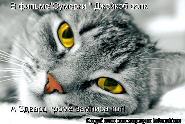 Котоматрица: В фильме"Cумерки " Джейкоб волк А Эдвард кроме вампира кот!