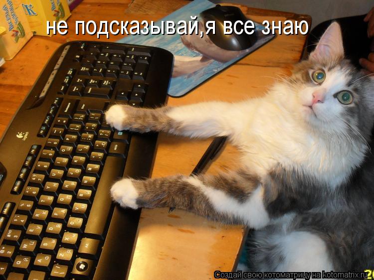 Котоматрица: не подсказывай,я все знаю