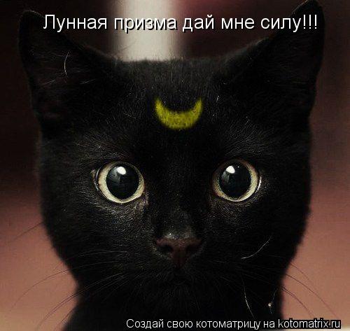 Котоматрица: Лунная призма дай мне силу!!!