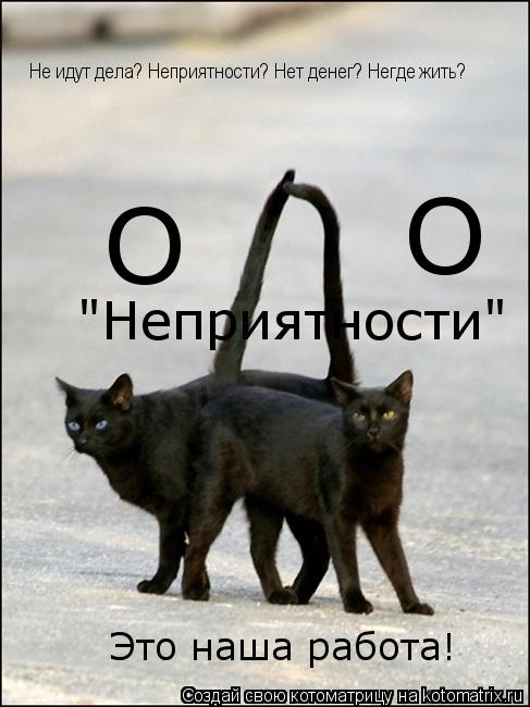 Котоматрица: О                О                "Неприятности"   Не идут дела? Неприятности? Нет денег? Негде жить? Это наша работа!