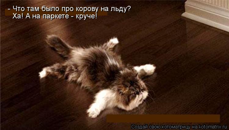 - Что там было про корову на льду? Ха! А на паркете - круче!... Котоматрица: - Что там было про корову на льду? Ха! А на паркете - круче!