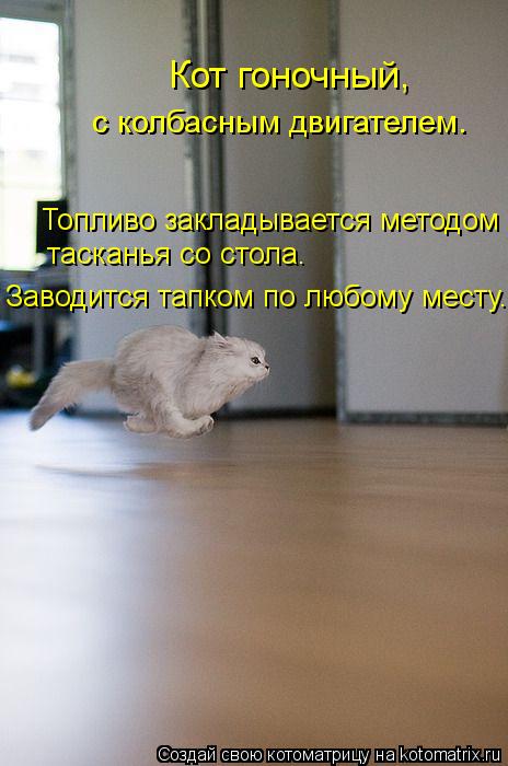Котоматрица: Кот гоночный,  с колбасным двигателем. Топливо закладывается методом тасканья со стола.  Заводится тапком по любому месту.