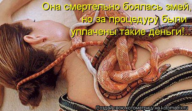 Котоматрица: Она смертельно боялась змей, уплачены такие деньги!.. но за процедуру были