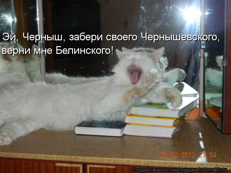 Котоматрица: Эй, Черныш, забери своего Чернышевского, верни мне Белинского!