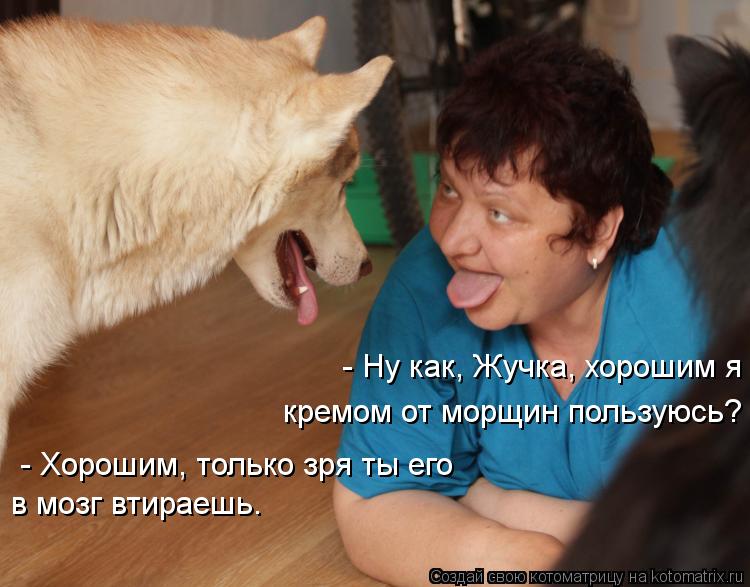 Котоматрица: - Ну как, Жучка, хорошим я кремом от морщин пользуюсь?  - Хорошим, только зря ты его в мозг втираешь.