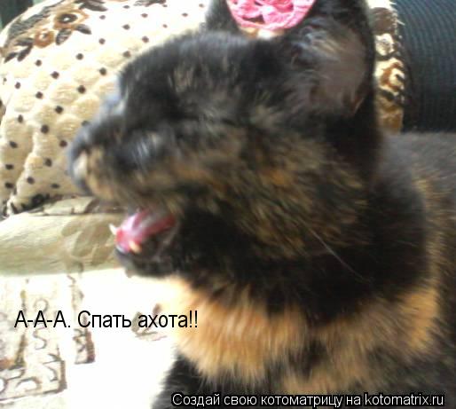 Котоматрица: А-А-А. Спать ахота!!