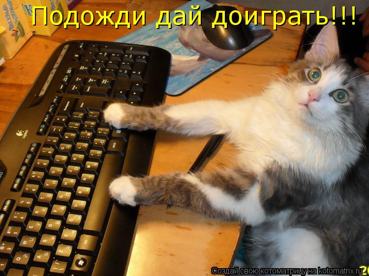 Котоматрица: Подожди дай доиграть!!!