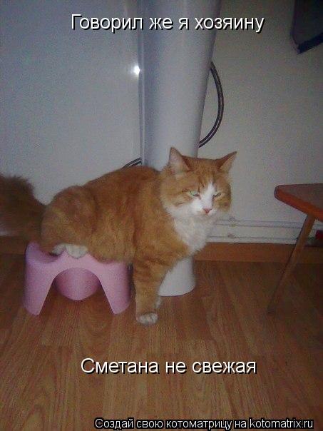Котоматрица: Говорил же я хозяину Сметана не свежая