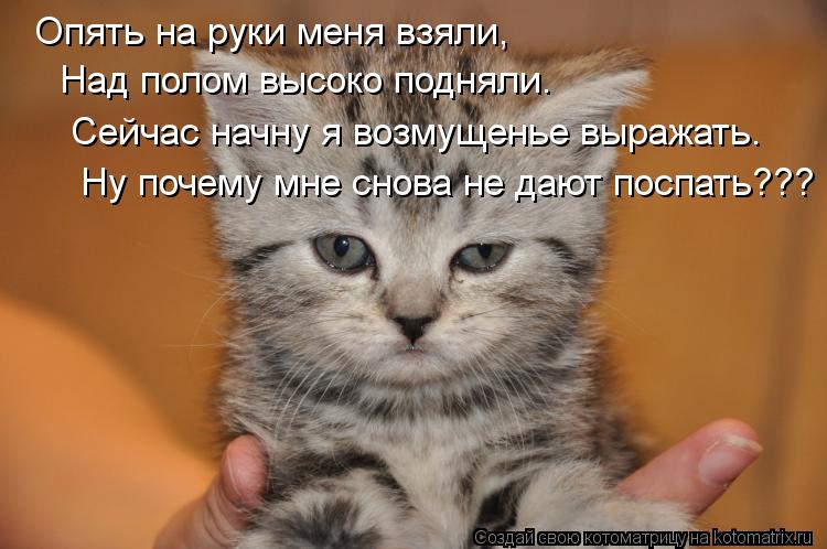 Опять на руки меня взяли, Над полом высоко подняли. Сейчас начну я возмущенье выражать. Ну почему мне... Котоматрица: Опять на руки меня взяли, Над полом высоко подняли. Сейчас начну я возмущенье выражать. Ну почему мне снова не дают поспать???