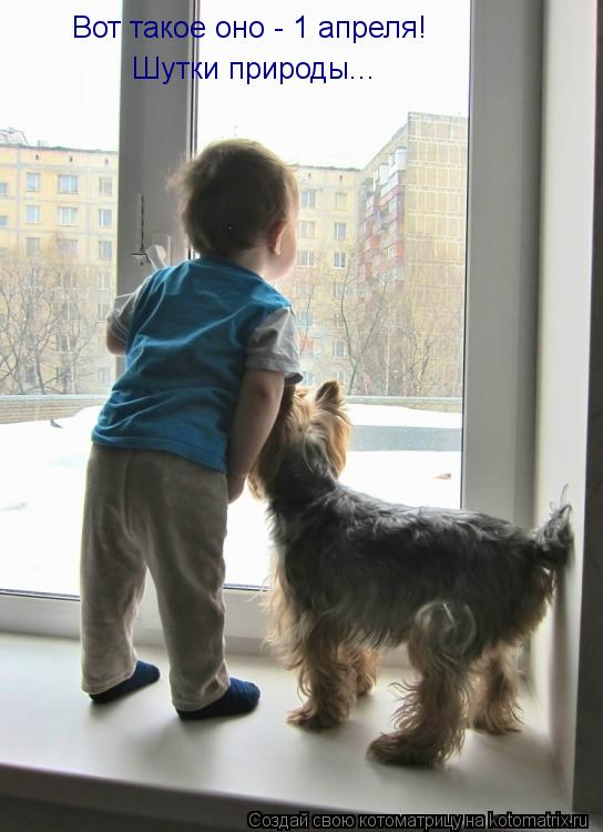 Котоматрица: Вот такое оно - 1 апреля! Шутки природы...