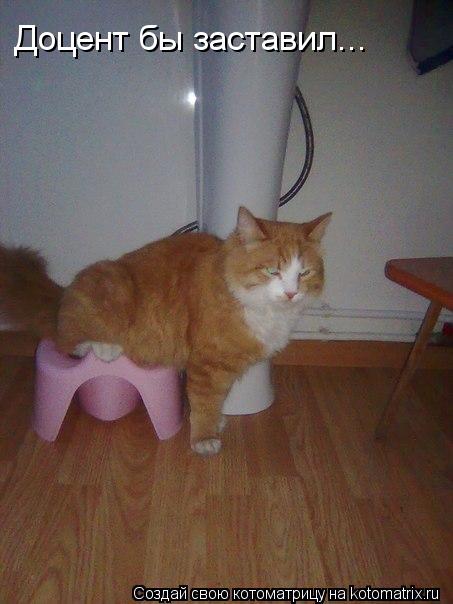 Котоматрица: Доцент бы заставил...