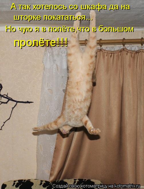 Котоматрица: А так хотелось со шкафа да на  шторке покататься... Но чую я в полёте,что в большом  пролёте!!!