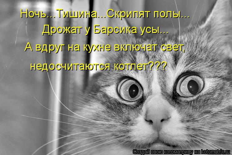 Котоматрица: Ночь...Тишина...Скрипят полы... Дрожат у Барсика усы... А вдруг на кухне включат свет, недосчитаются котлет???