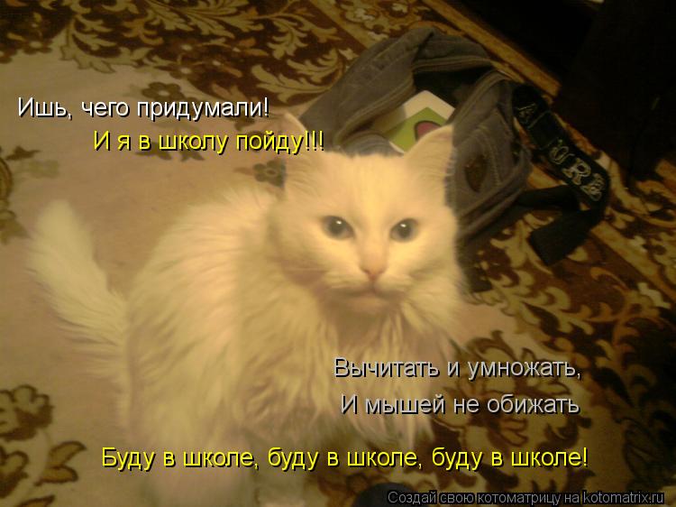 Котоматрица: Ишь, чего придумали! И я в школу пойду!!! Вычитать и умножать, И мышей не обижать Буду в школе, буду в школе, буду в школе!