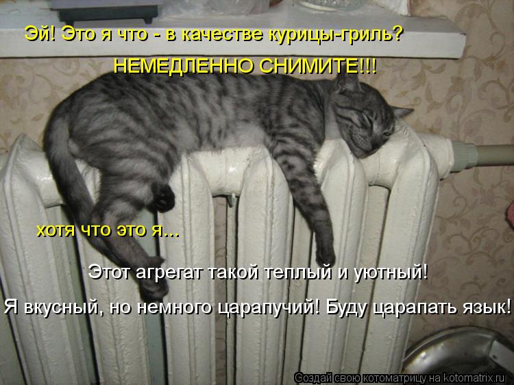 Котоматрица: Эй! Это я что - в качестве курицы-гриль? НЕМЕДЛЕННО СНИМИТЕ!!! хотя что это я... Этот агрегат такой теплый и уютный! Я вкусный, но немного царапу