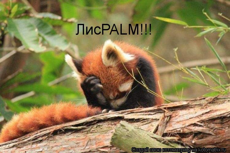Котоматрица: ЛисPALM!!!