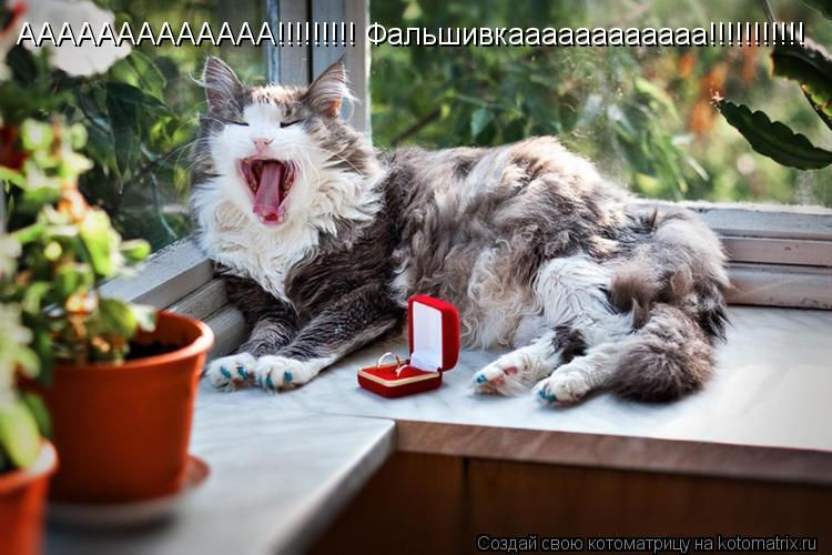 Котоматрица: ААААААААААААА!!!!!!!!! Фальшивкаааааааааааа!!!!!!!!!!!