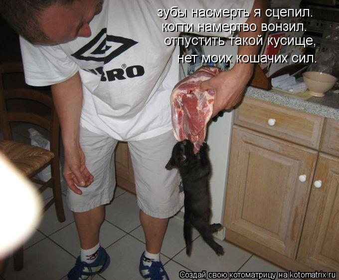 зубы насмерть я сцепил. когти намертво вонзил. отпустить такой кусище, нет моих кошачих сил.... Котоматрица: зубы насмерть я сцепил. когти намертво вонзил. отпустить такой кусище, нет моих кошачих сил.