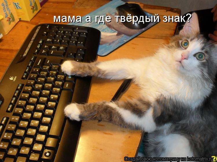 Котоматрица: мама а где твёрдый знак?