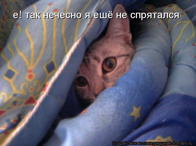 Котоматрица: е! так нечесно я ешё не спрятался