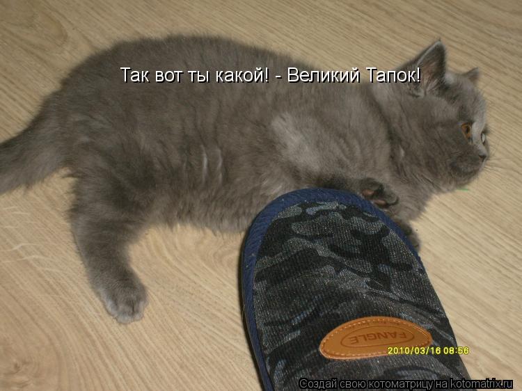 Котоматрица: Так вот ты какой! - Великий Тапок!