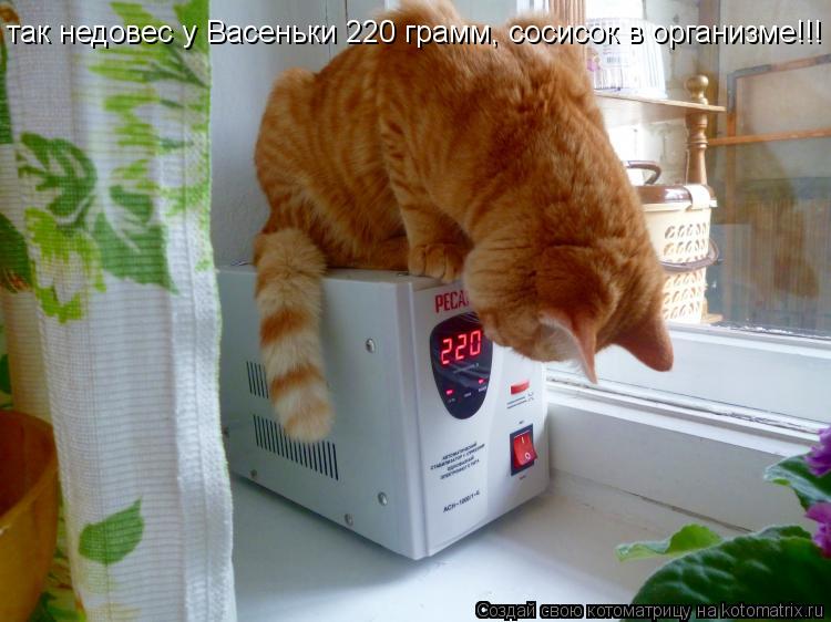 Котоматрица: так недовес у Васеньки 220 грамм, сосисок в организме!!!