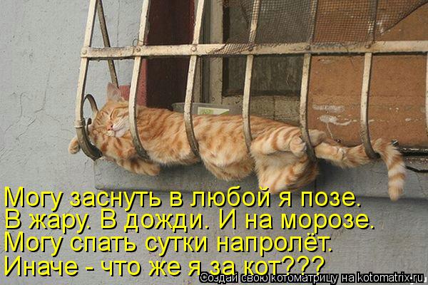 Могу заснуть в любой я позе. В жару. В дожди. И на морозе. Могу спать сутки напролёт. Иначе - что же ... Котоматрица: Могу заснуть в любой я позе. В жару. В дожди. И на морозе. Могу спать сутки напролёт. Иначе - что же я за кот???