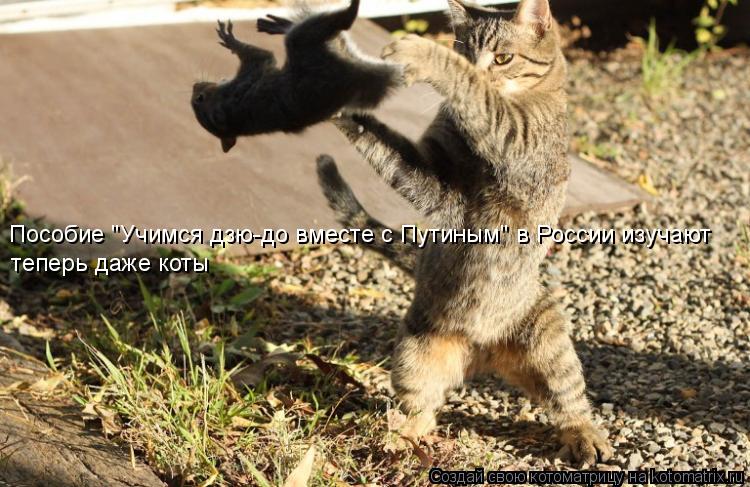 Котоматрица: Пособие "Учимся дзю-до вместе с Путиным" в России изучают теперь даже коты