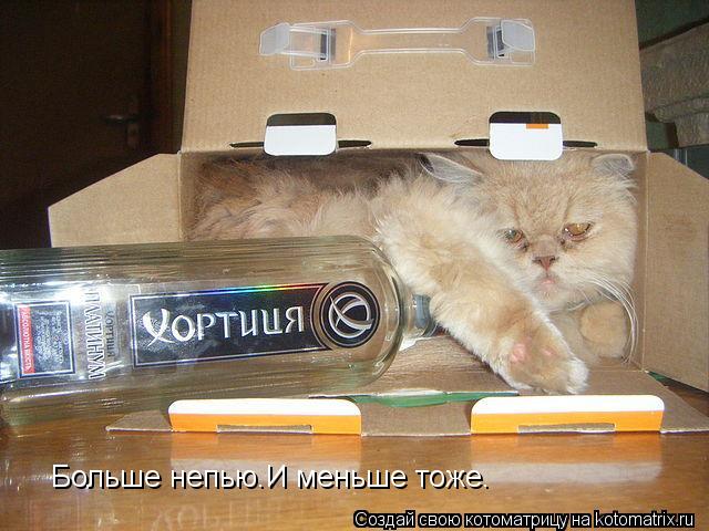Котоматрица: Больше непью.И меньше тоже.