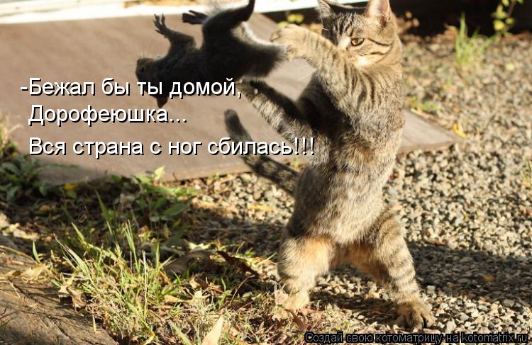 Котоматрица: -Бежал бы ты домой,  Дорофеюшка... Вся страна с ног сбилась!!!