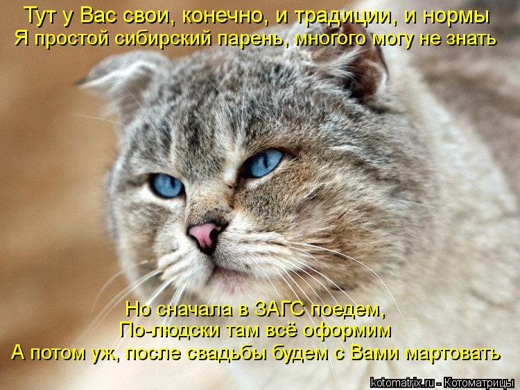 Тут у Вас свои, конечно, и традиции, и нормы Я простой сибирский парень, многого могу не знать Но сна... Котоматрица: Тут у Вас свои, конечно, и традиции, и нормы Я простой сибирский парень, многого могу не знать Но сначала в ЗАГС поедем, По-людски там всё офо