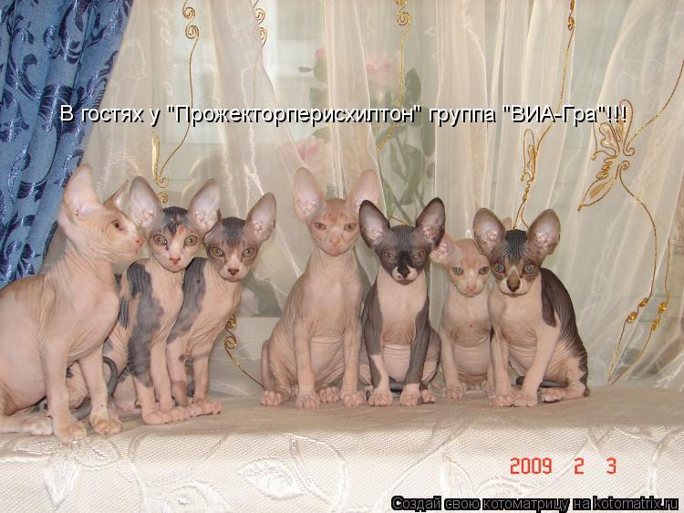 Котоматрица: В гостях у "Прожекторперисхилтон" группа "ВИА-Гра"!!!