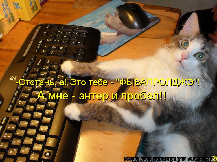 Котоматрица: -Отстань, а! Это тебе - "ФЫВАПРОЛДЖЭ"! А мне - энтер и пробел!!