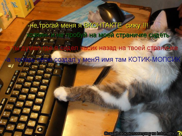 Котоматрица: -не трогай меня я ВКОНТАКТЕ  сижу !!! хозяин- и не пробуй на моей страничке сидеть -а ты думал где я сидел часик назад на твоей страничке -а  теп