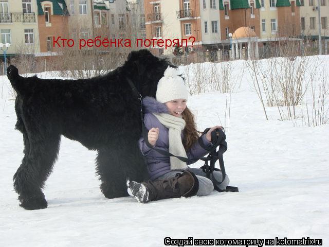Котоматрица: Кто ребёнка потерял?