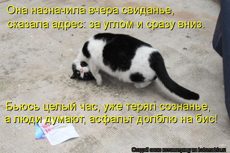 Она назначила вчера свиданье, Бьюсь целый час, уже терял сознанье, а люди думают, асфальт долблю на б... Котоматрица: Она назначила вчера свиданье, Бьюсь целый час, уже терял сознанье, а люди думают, асфальт долблю на бис! сказала адрес: за углом и сразу вниз.