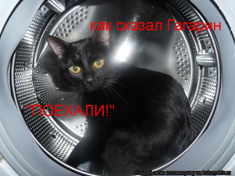 Котоматрица: как сказал Гагарин  "ПОЕХАЛИ!"